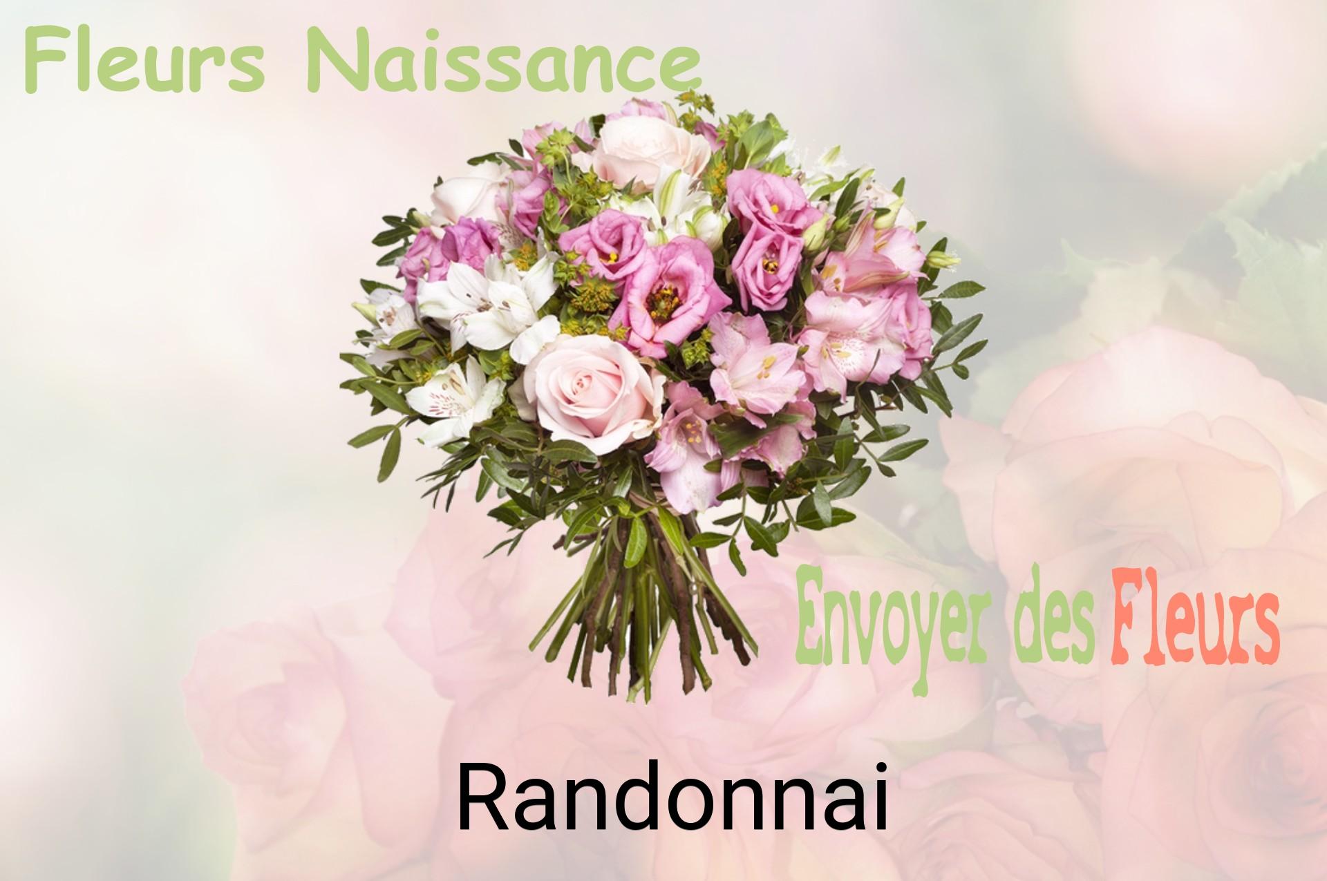 Bouquet de fleurs de naissance livré à Randonnai